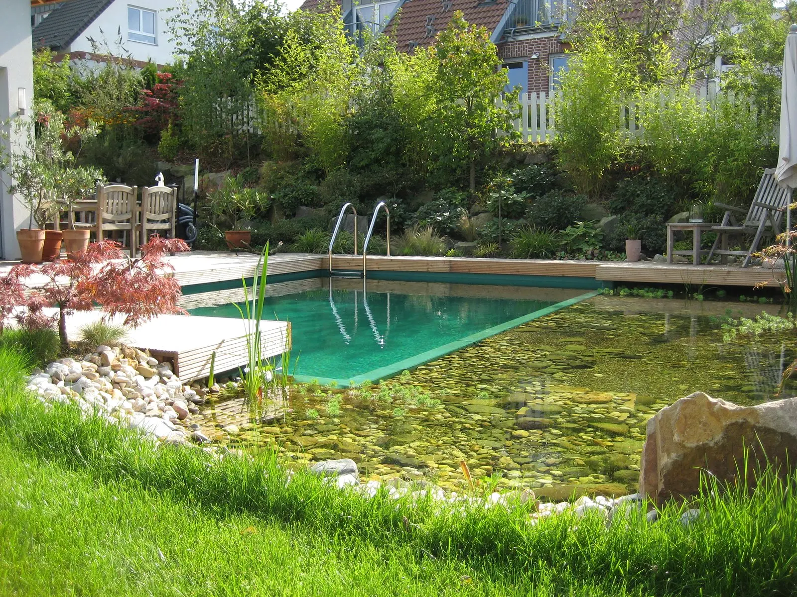 Schwimmteich mit Holzsteg und Wasserpflanzen