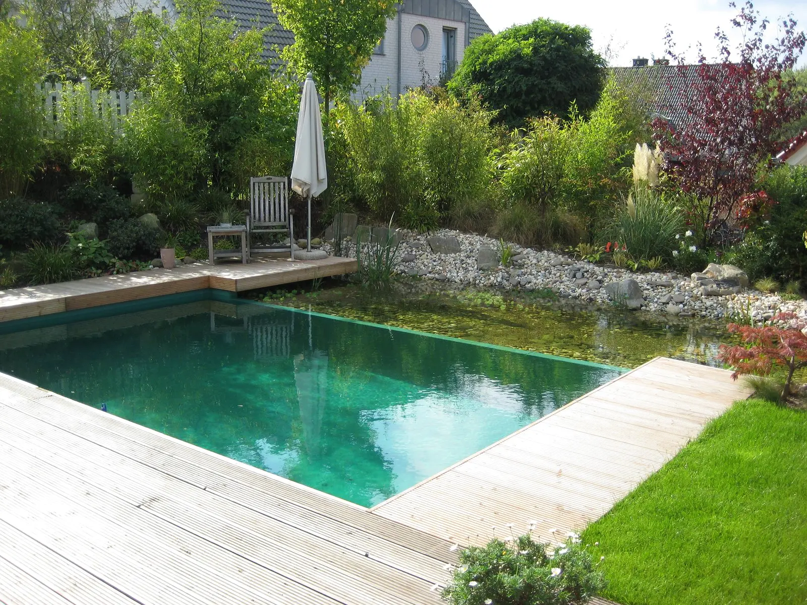 Formal gefasster Schwimmteich mit Gartenbepflanzung