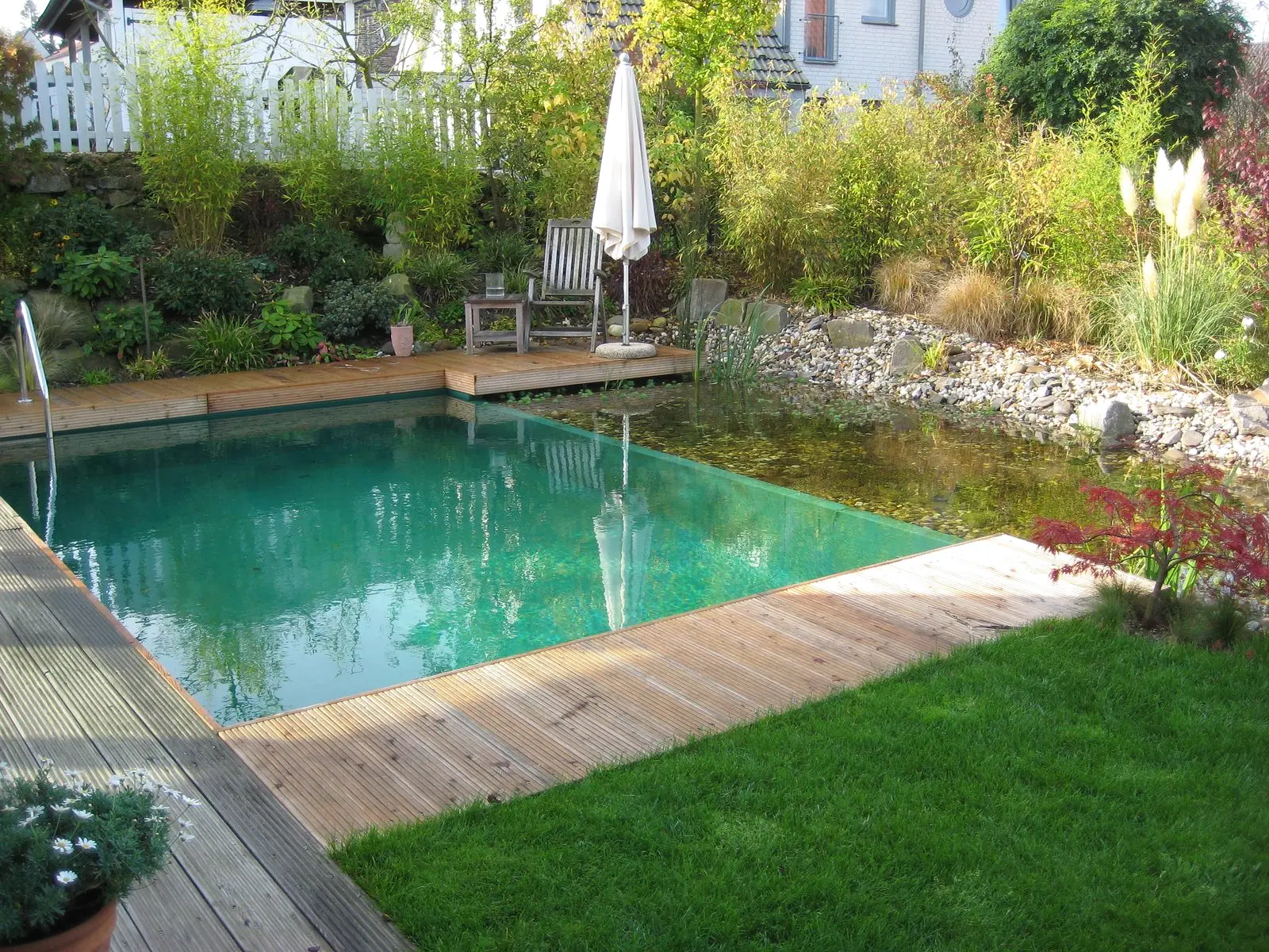 Schwimmteich mit Holzdeck, Rasen und Stauden