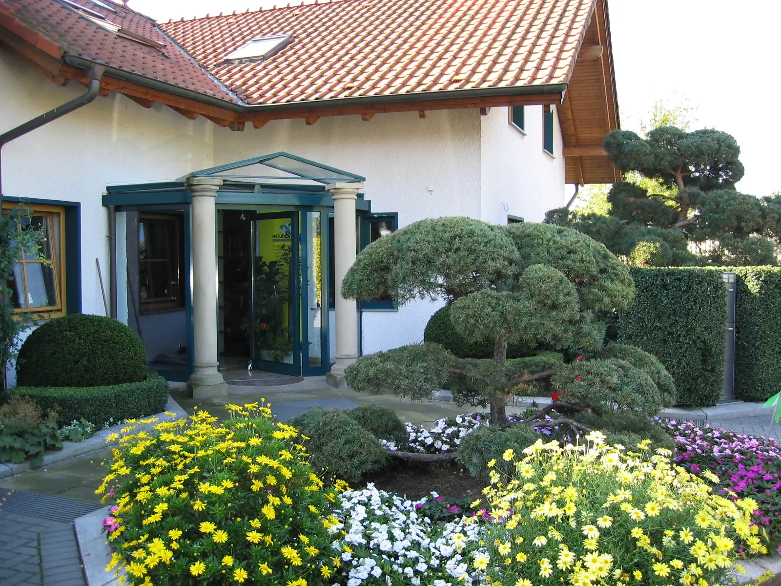 Bepflanzter Hauseingang mit Formgehölzen und Sommerblumen