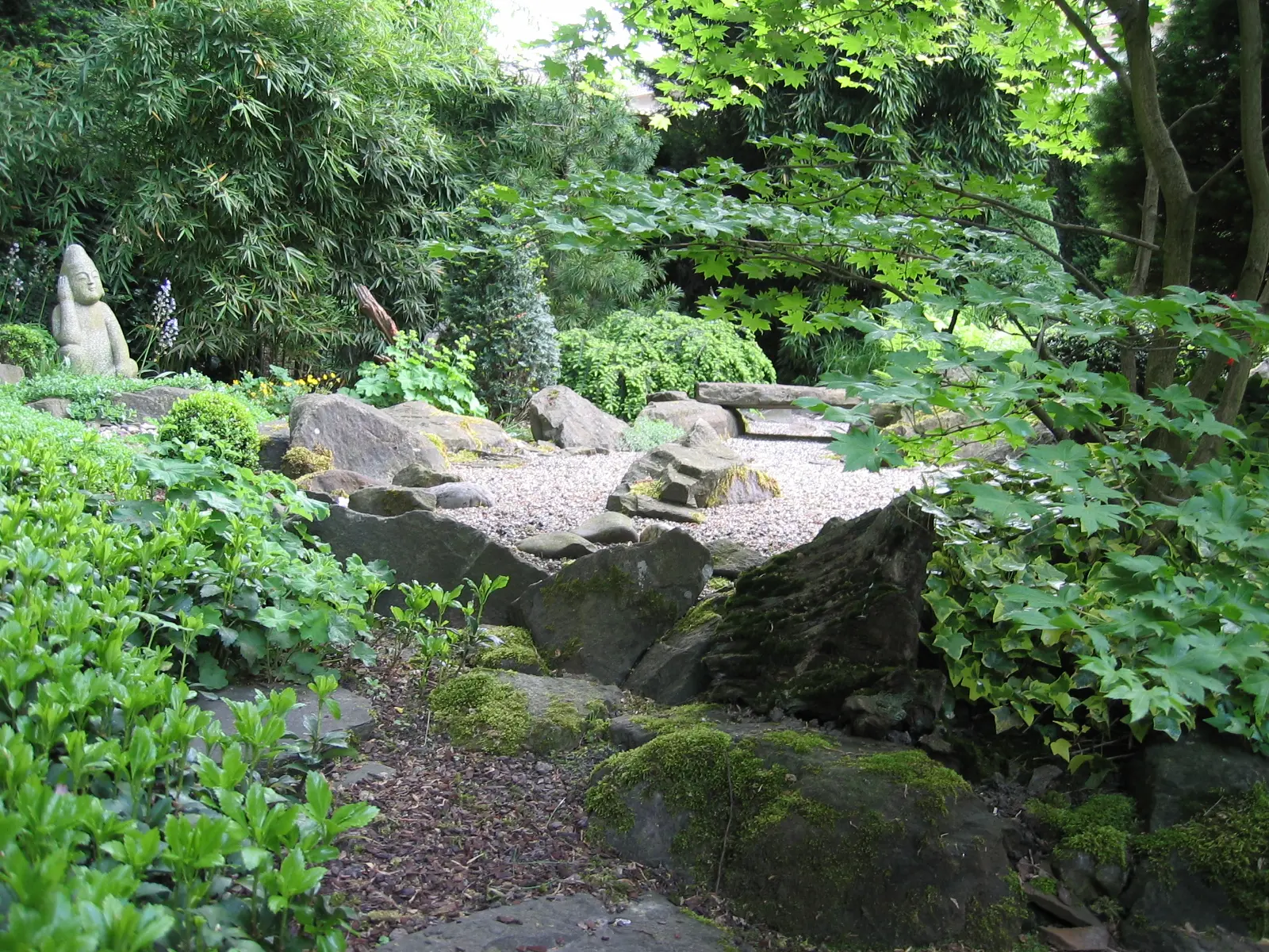 Schattiger Waldgarten mit großen Felsen und dichter Bepflanzung
