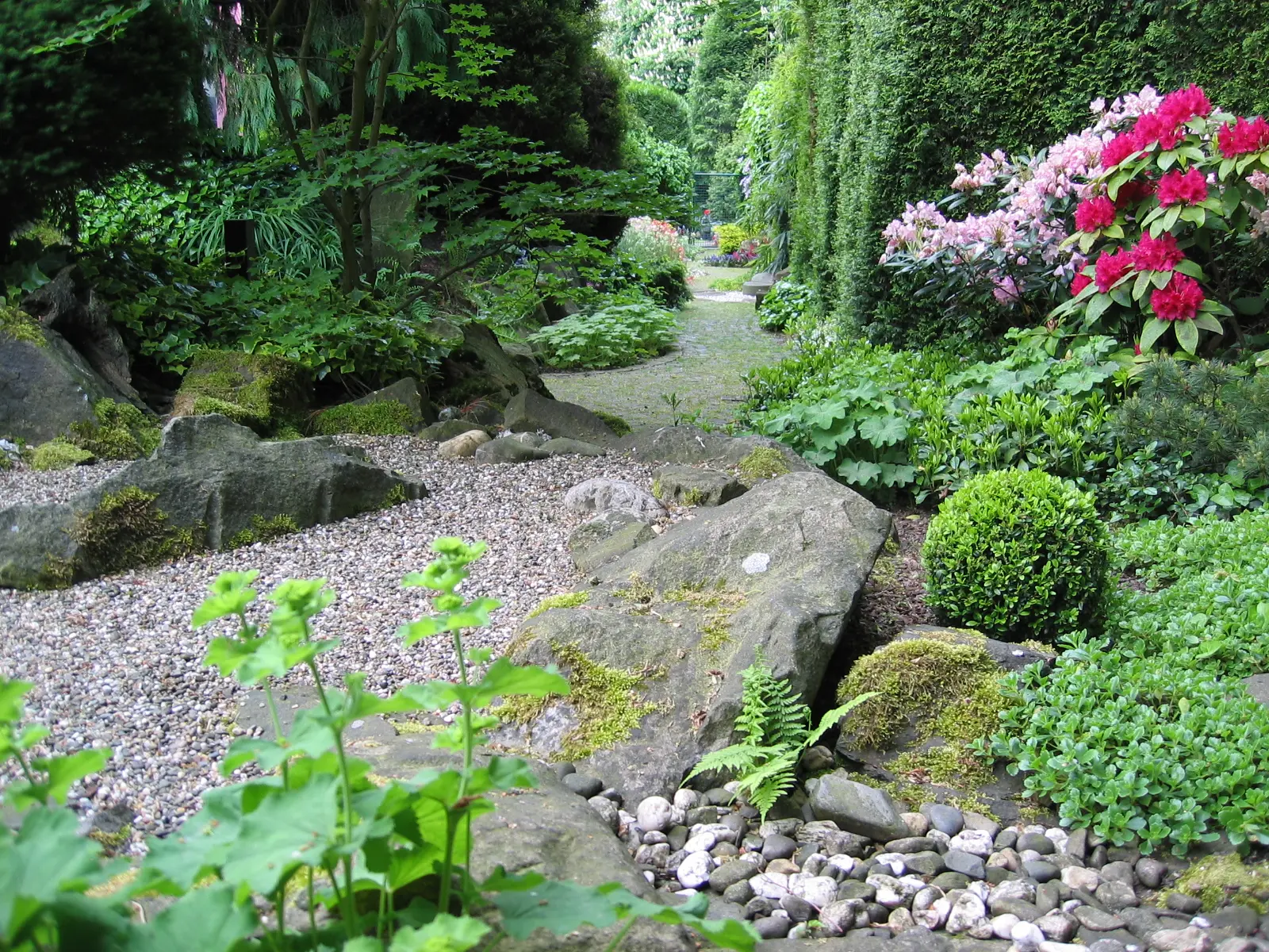 Natursteinpfad durch einen dicht bepflanzten Waldgarten