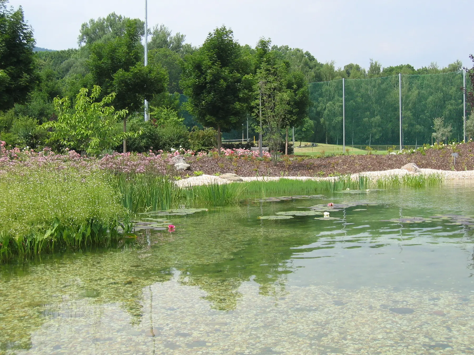 Großzügiger Schwimmteich mit natürlicher Uferbepflanzung