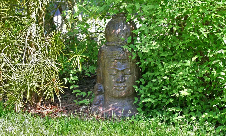 Buddhakopf zwischen grünen Pflanzen