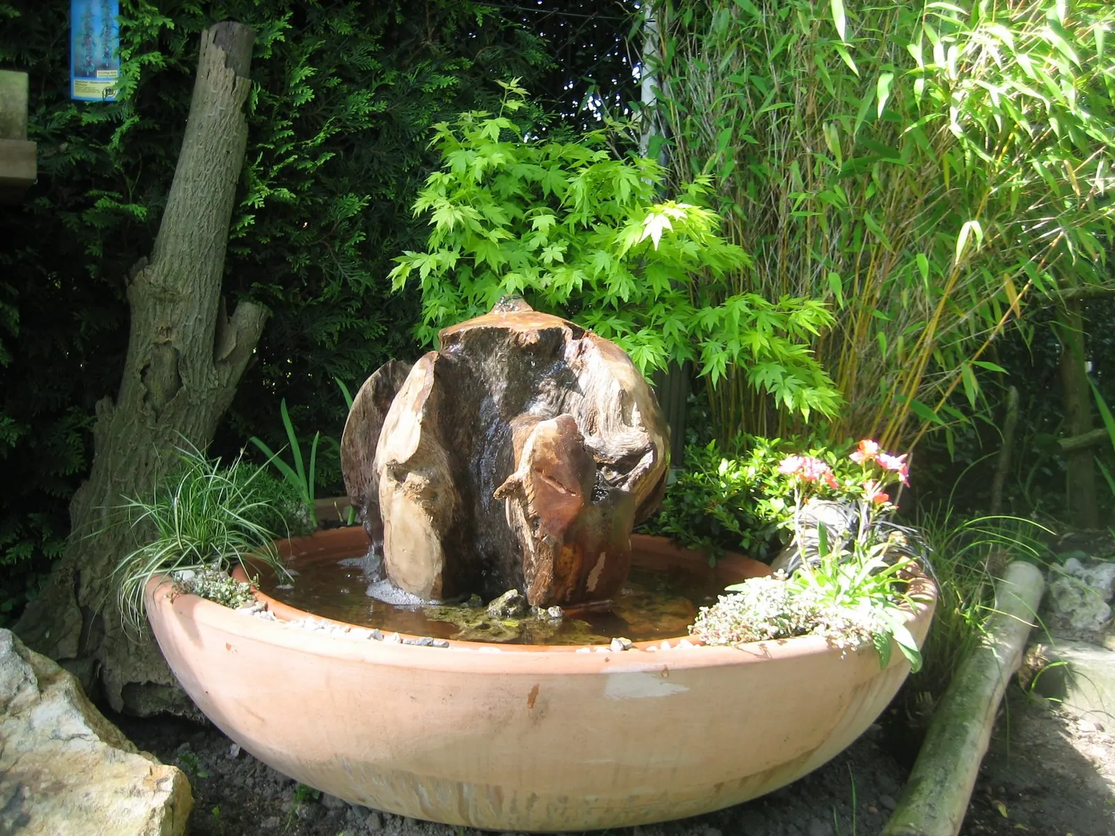 Brunnen aus Teakwurzel in einer Pflanzschale