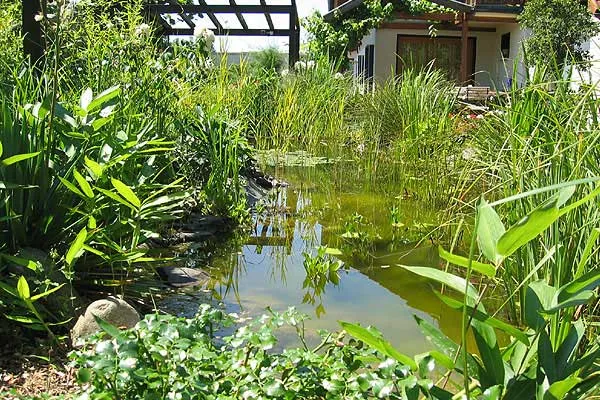 Teich aus dem Firmenarchiv
