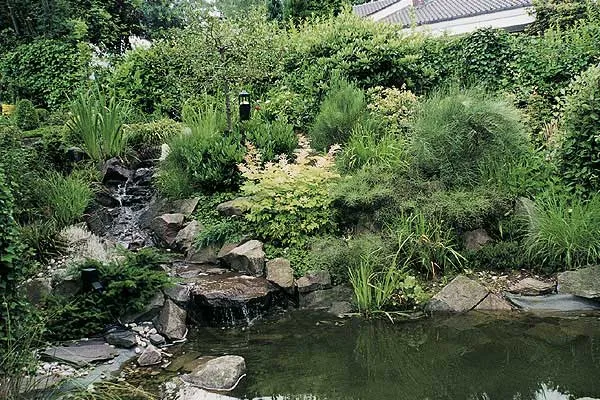 Naturteich mit Steinufer